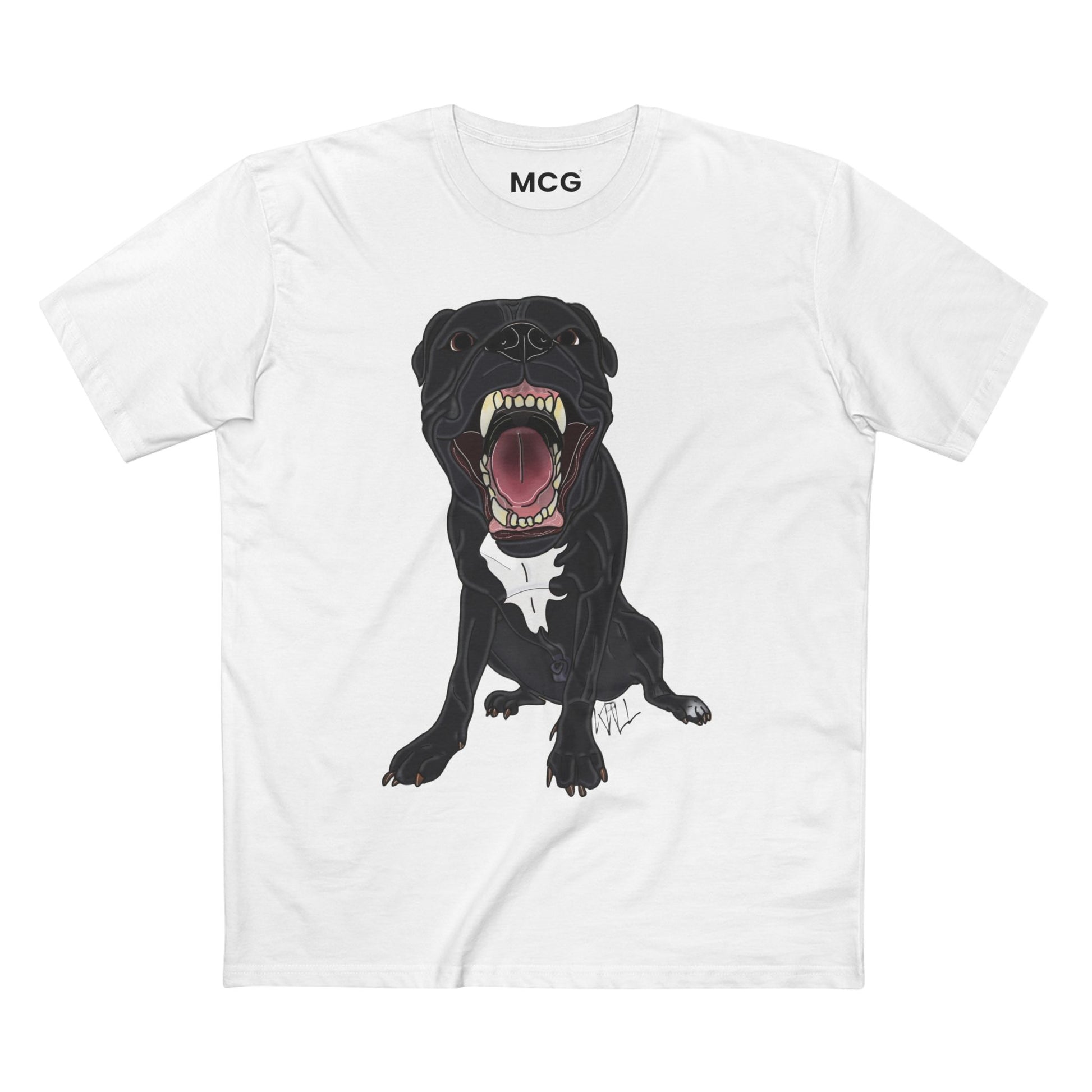 MCG* "TRAY* - LxFALL Collab"
